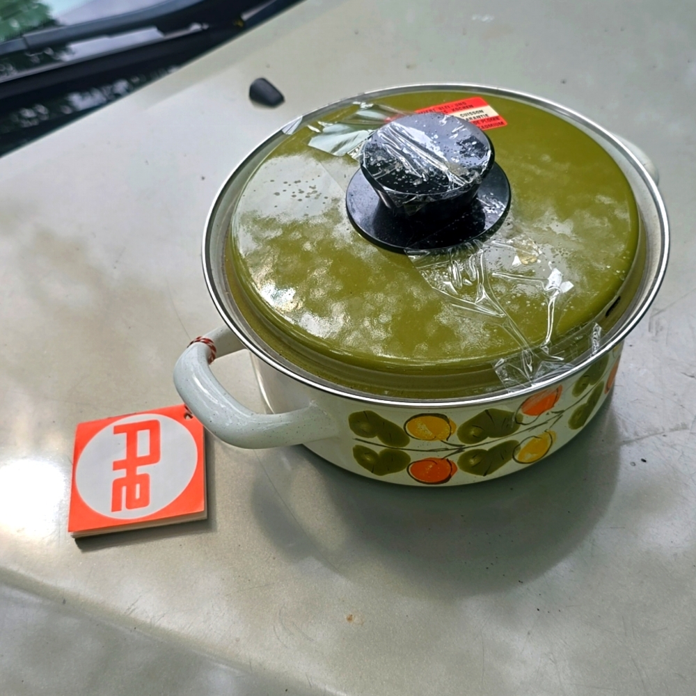 1970s Vintage Enamel Stock Pot Olive Leaves Floral Austria Email w tags NEW old